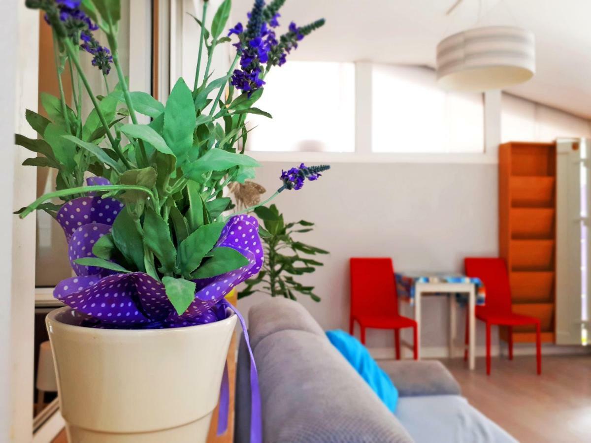Apartment Matej Rovinjsko Selo Esterno foto